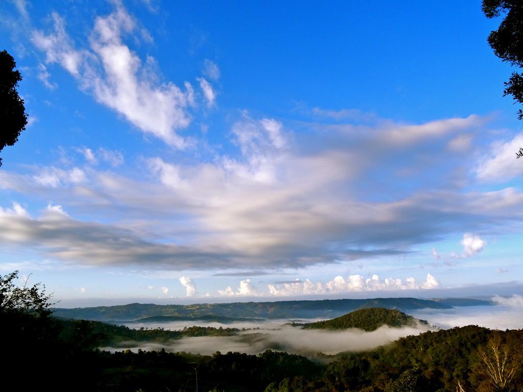 Maleny Luxury Cottages Bilik gambar