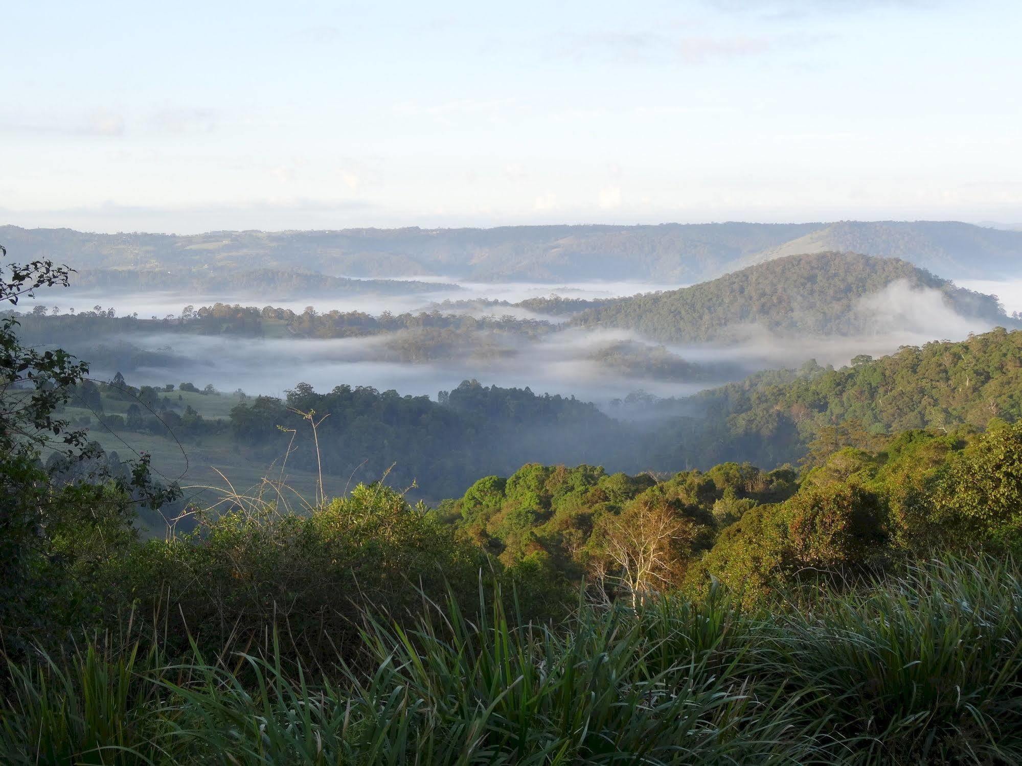 Maleny Luxury Cottages Luaran gambar